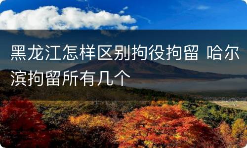 黑龙江怎样区别拘役拘留 哈尔滨拘留所有几个
