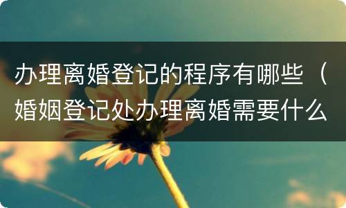 办理离婚登记的程序有哪些（婚姻登记处办理离婚需要什么手续）