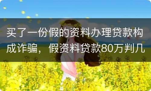 买了一份假的资料办理贷款构成诈骗，假资料贷款80万判几年