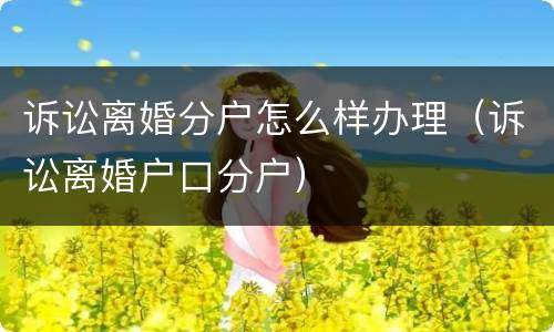 诉讼离婚分户怎么样办理（诉讼离婚户口分户）