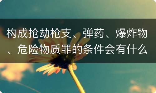构成抢劫枪支、弹药、爆炸物、危险物质罪的条件会有什么