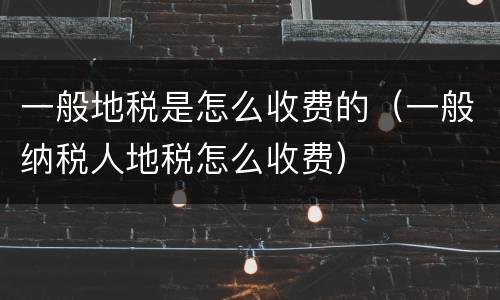 一般地税是怎么收费的（一般纳税人地税怎么收费）