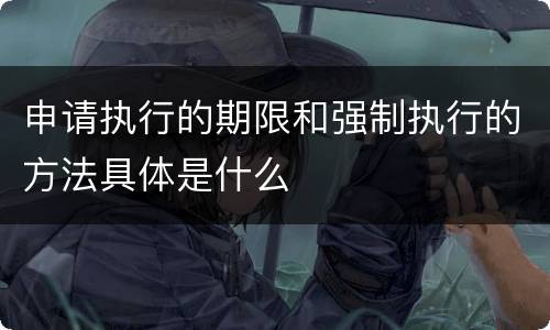 申请执行的期限和强制执行的方法具体是什么