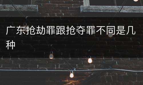 广东抢劫罪跟抢夺罪不同是几种