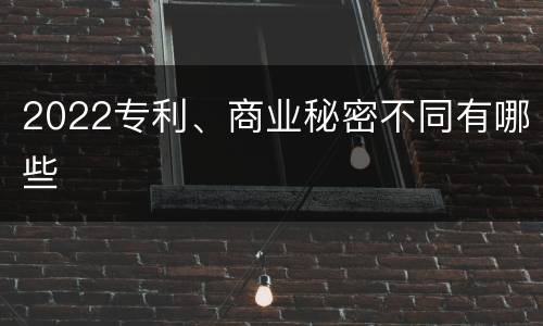 2022专利、商业秘密不同有哪些