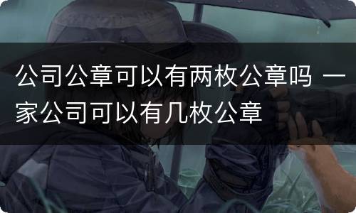 公司公章可以有两枚公章吗 一家公司可以有几枚公章