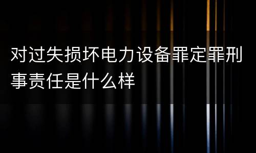 对过失损坏电力设备罪定罪刑事责任是什么样
