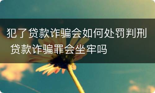 犯了贷款诈骗会如何处罚判刑 贷款诈骗罪会坐牢吗