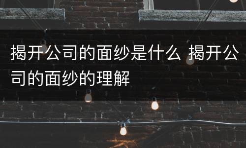 揭开公司的面纱是什么 揭开公司的面纱的理解