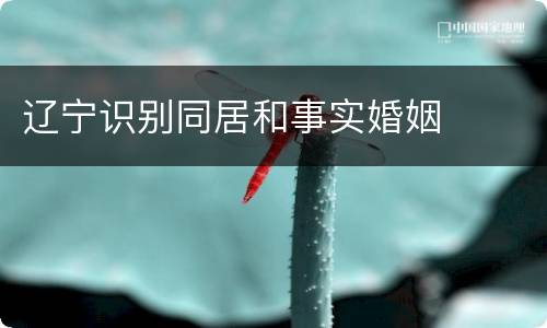 辽宁识别同居和事实婚姻