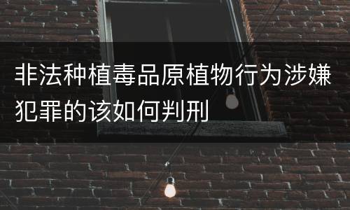 非法种植毒品原植物行为涉嫌犯罪的该如何判刑