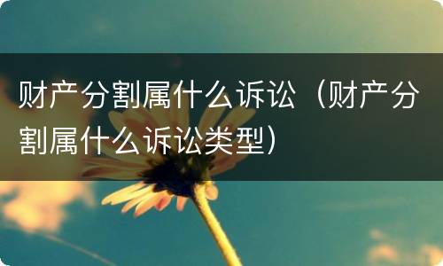 财产分割属什么诉讼（财产分割属什么诉讼类型）