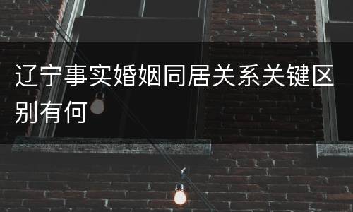 辽宁事实婚姻同居关系关键区别有何
