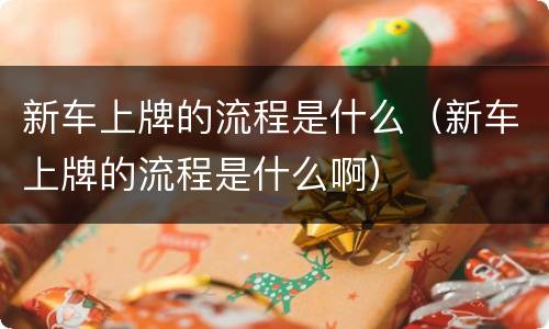 新车上牌的流程是什么（新车上牌的流程是什么啊）