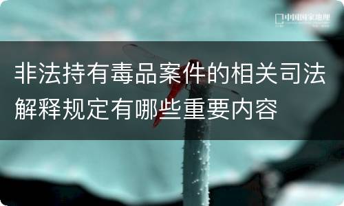 非法持有毒品案件的相关司法解释规定有哪些重要内容