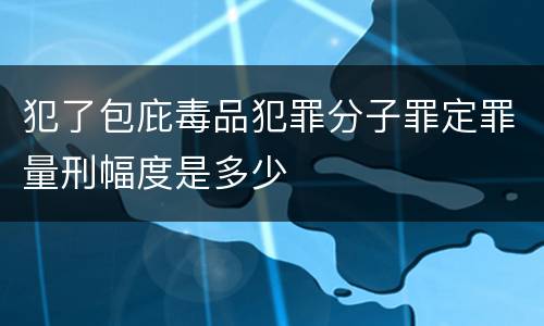 犯了包庇毒品犯罪分子罪定罪量刑幅度是多少