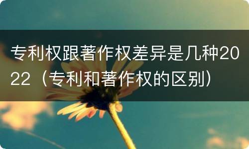 专利权跟著作权差异是几种2022（专利和著作权的区别）