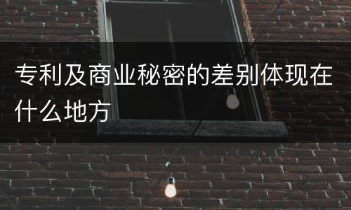 专利及商业秘密的差别体现在什么地方