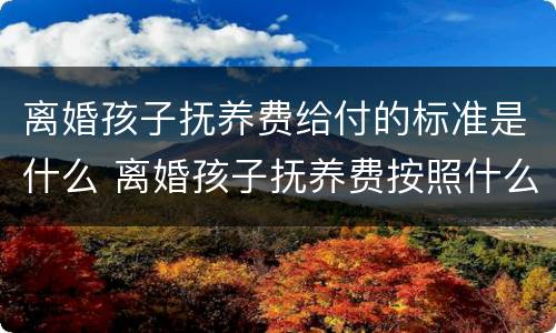 离婚孩子抚养费给付的标准是什么 离婚孩子抚养费按照什么给