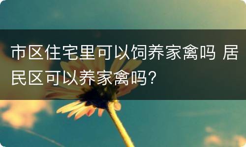 市区住宅里可以饲养家禽吗 居民区可以养家禽吗?