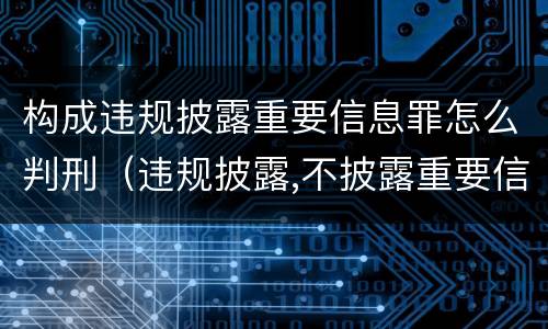 构成违规披露重要信息罪怎么判刑（违规披露,不披露重要信息罪）