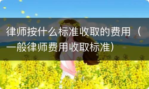 律师按什么标准收取的费用（一般律师费用收取标准）