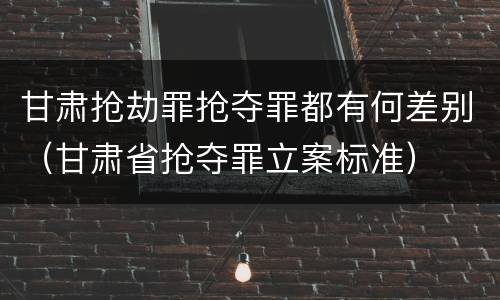 甘肃抢劫罪抢夺罪都有何差别（甘肃省抢夺罪立案标准）