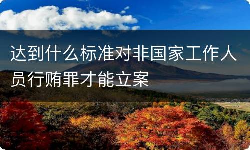 达到什么标准对非国家工作人员行贿罪才能立案