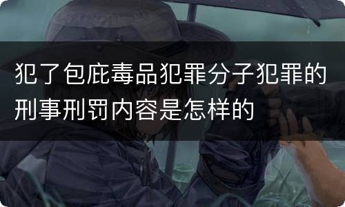 犯了包庇毒品犯罪分子犯罪的刑事刑罚内容是怎样的