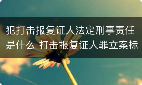 犯打击报复证人法定刑事责任是什么 打击报复证人罪立案标准