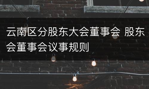 云南区分股东大会董事会 股东会董事会议事规则