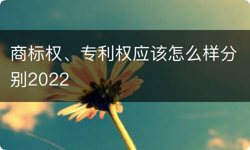 商标权、专利权应该怎么样分别2022
