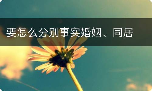 要怎么分别事实婚姻、同居