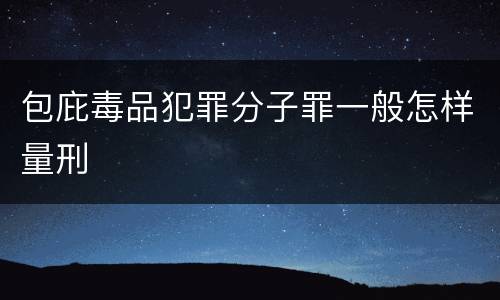 包庇毒品犯罪分子罪一般怎样量刑