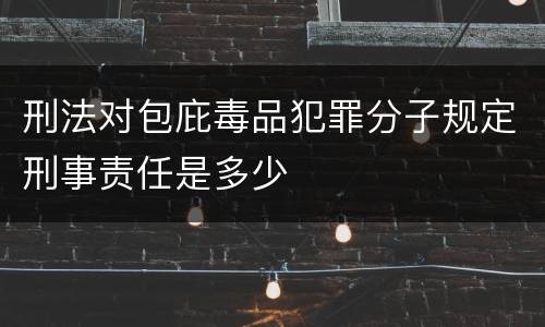 刑法对包庇毒品犯罪分子规定刑事责任是多少