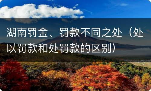湖南罚金、罚款不同之处（处以罚款和处罚款的区别）