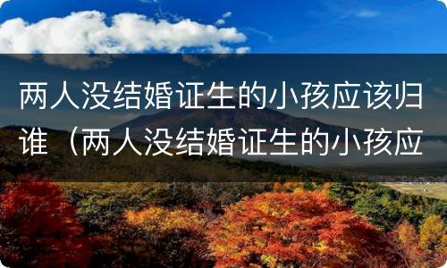 两人没结婚证生的小孩应该归谁（两人没结婚证生的小孩应该归谁抚养）