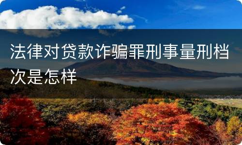法律对贷款诈骗罪刑事量刑档次是怎样