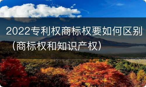 2022专利权商标权要如何区别（商标权和知识产权）