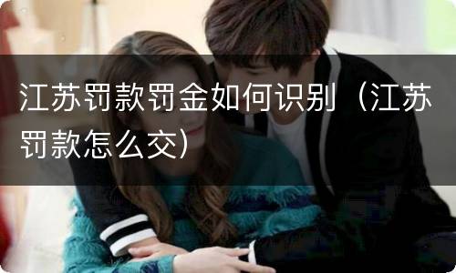 江苏罚款罚金如何识别（江苏罚款怎么交）