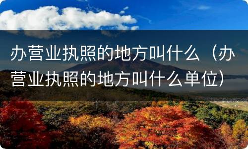办营业执照的地方叫什么（办营业执照的地方叫什么单位）