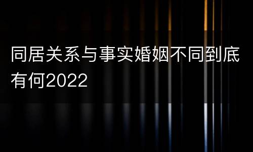 同居关系与事实婚姻不同到底有何2022