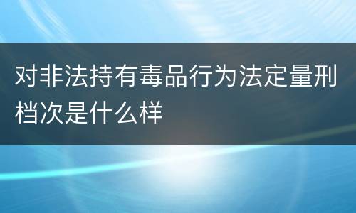 对非法持有毒品行为法定量刑档次是什么样