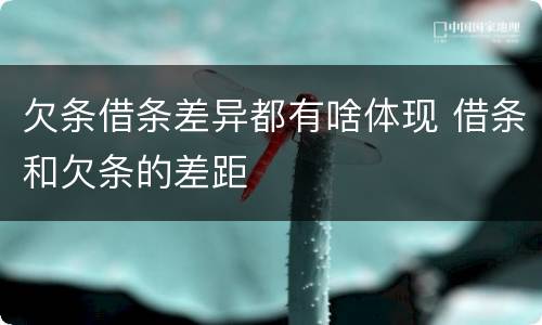 欠条借条差异都有啥体现 借条和欠条的差距