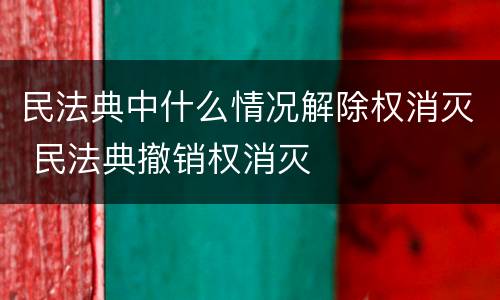 民法典中什么情况解除权消灭 民法典撤销权消灭