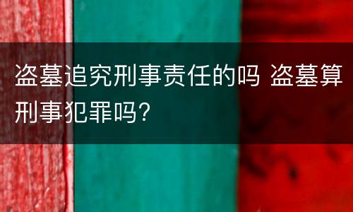盗墓追究刑事责任的吗 盗墓算刑事犯罪吗?
