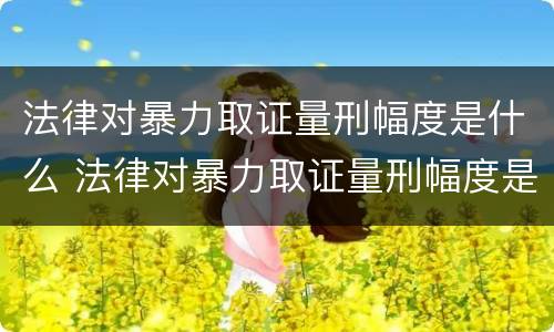 法律对暴力取证量刑幅度是什么 法律对暴力取证量刑幅度是什么规定