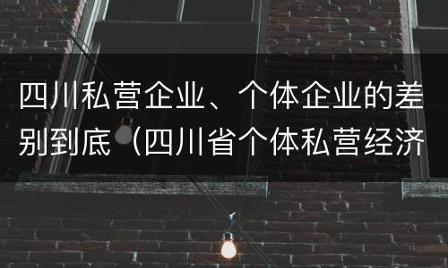 四川私营企业、个体企业的差别到底（四川省个体私营经济协会）