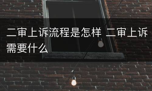 二审上诉流程是怎样 二审上诉需要什么