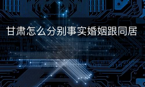 甘肃怎么分别事实婚姻跟同居